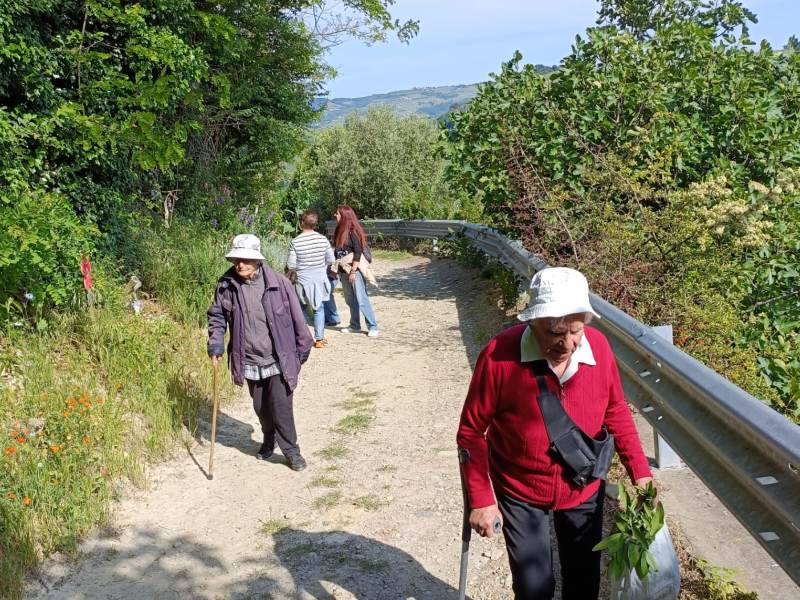 csvRivista_Manganum2